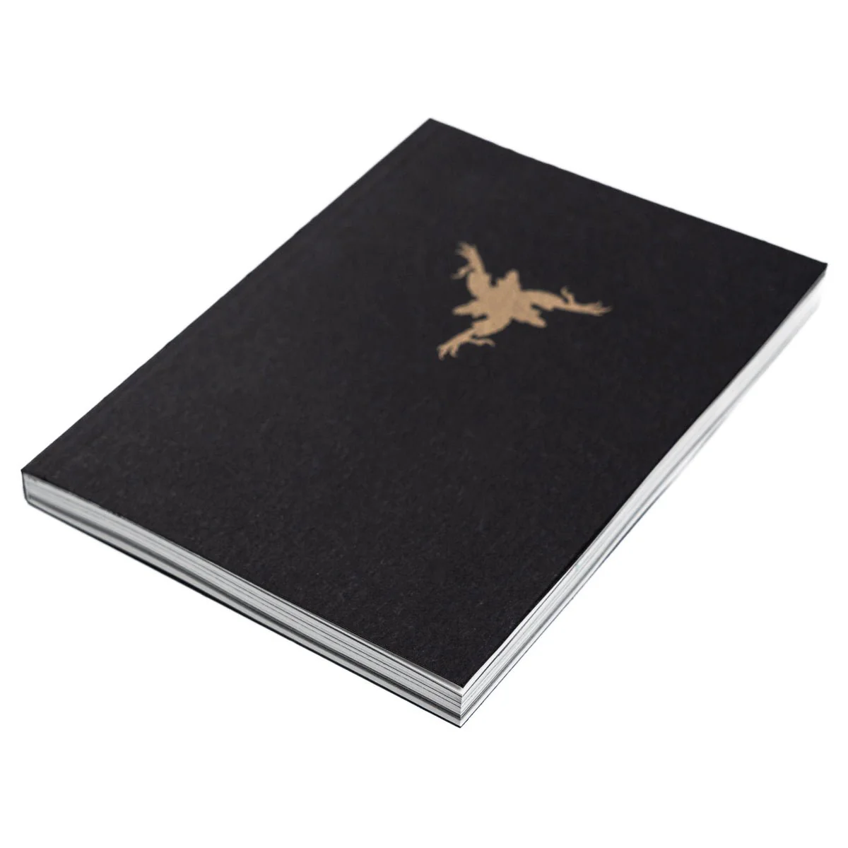 AMENRA "Bible" Book - Image 2
