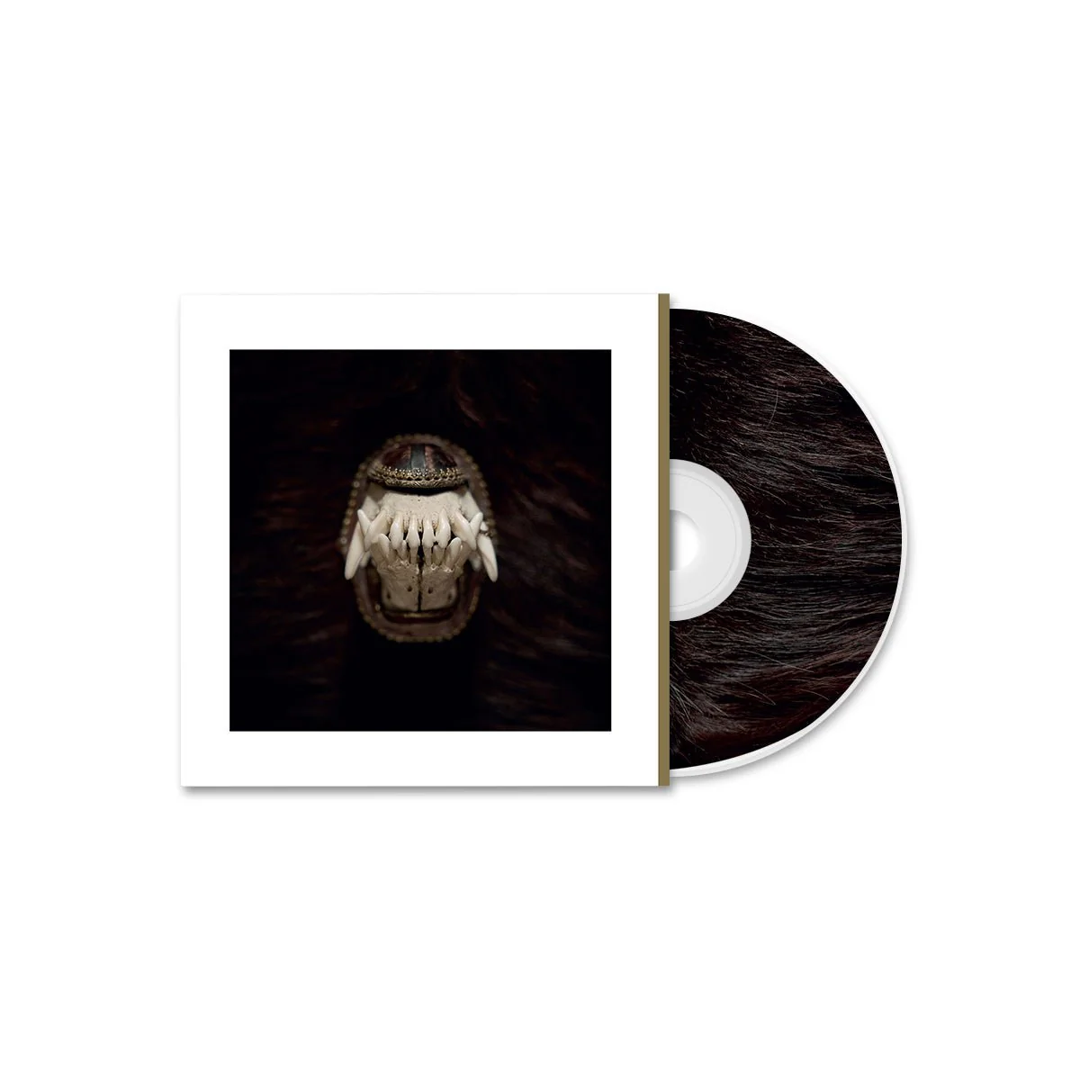AMENRA "De Toorn & With Fang And Claw" CD Bundle - Image 3
