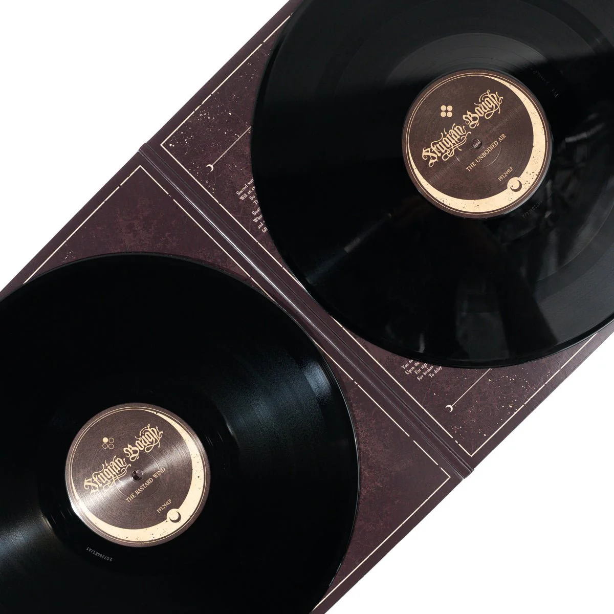 BELL WITCH & AERIAL RUIN "Stygian Bough Vol. 1" 2xLP - Image 5