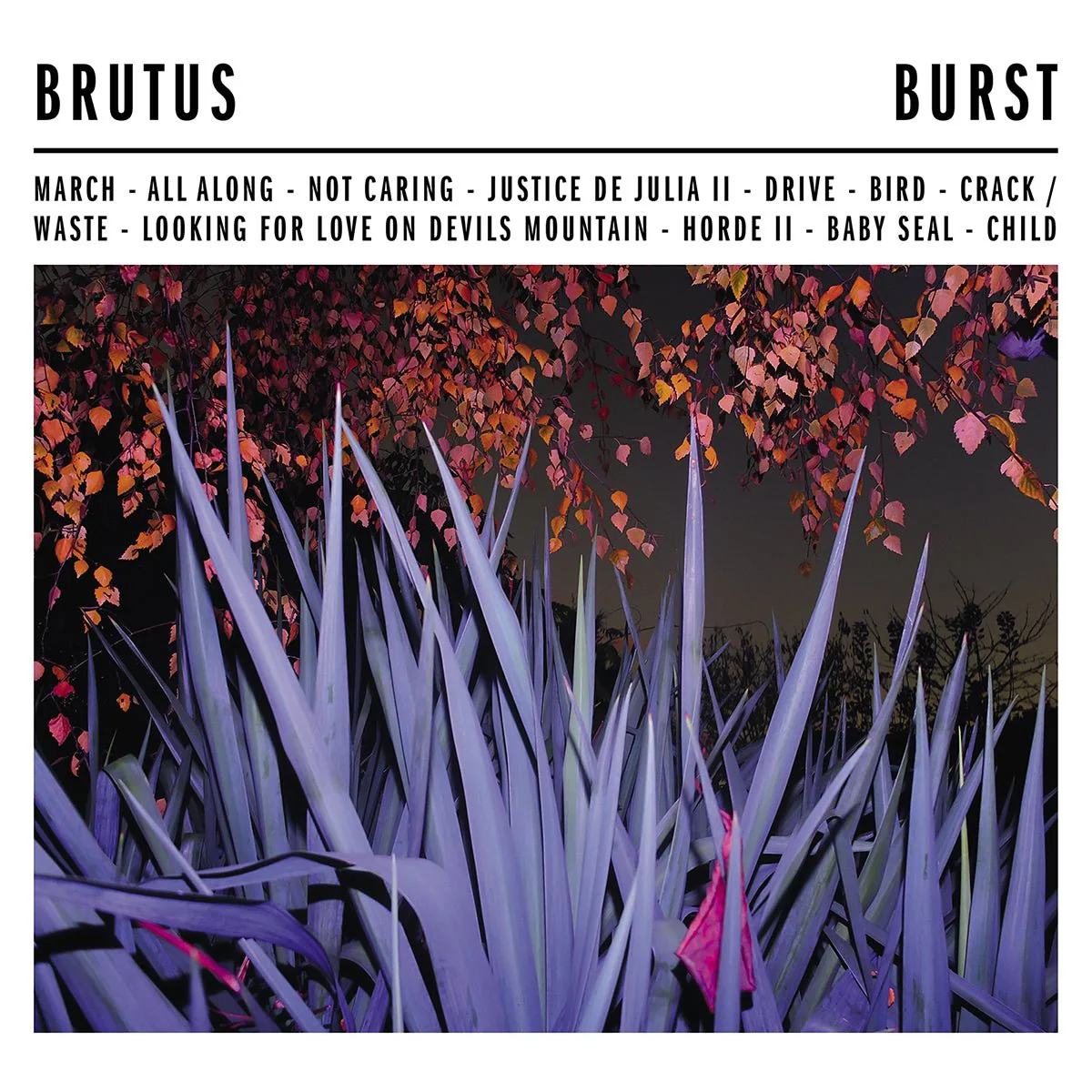 BRUTUS "Burst" LP - Image 2