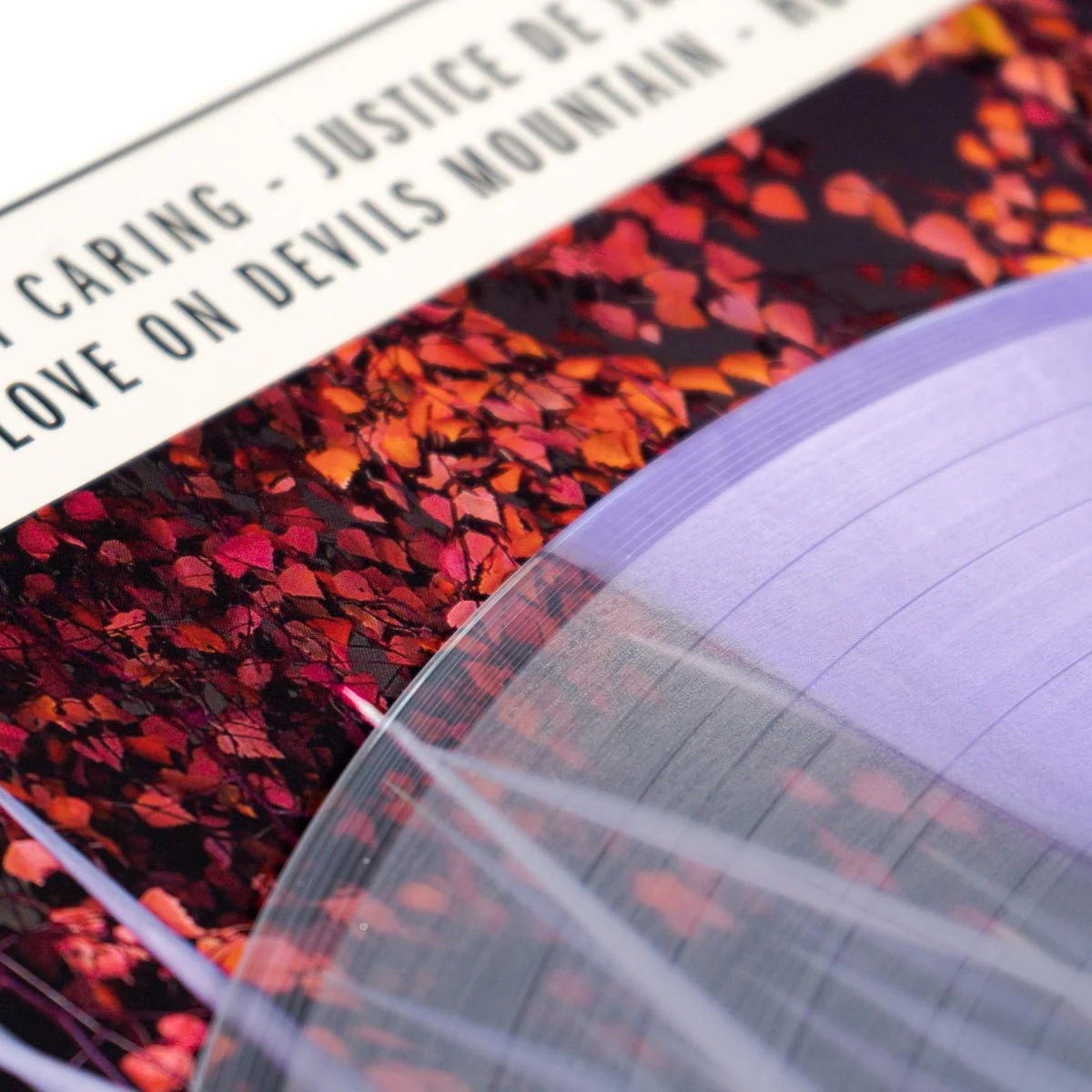 BRUTUS "Burst" LP - Image 6