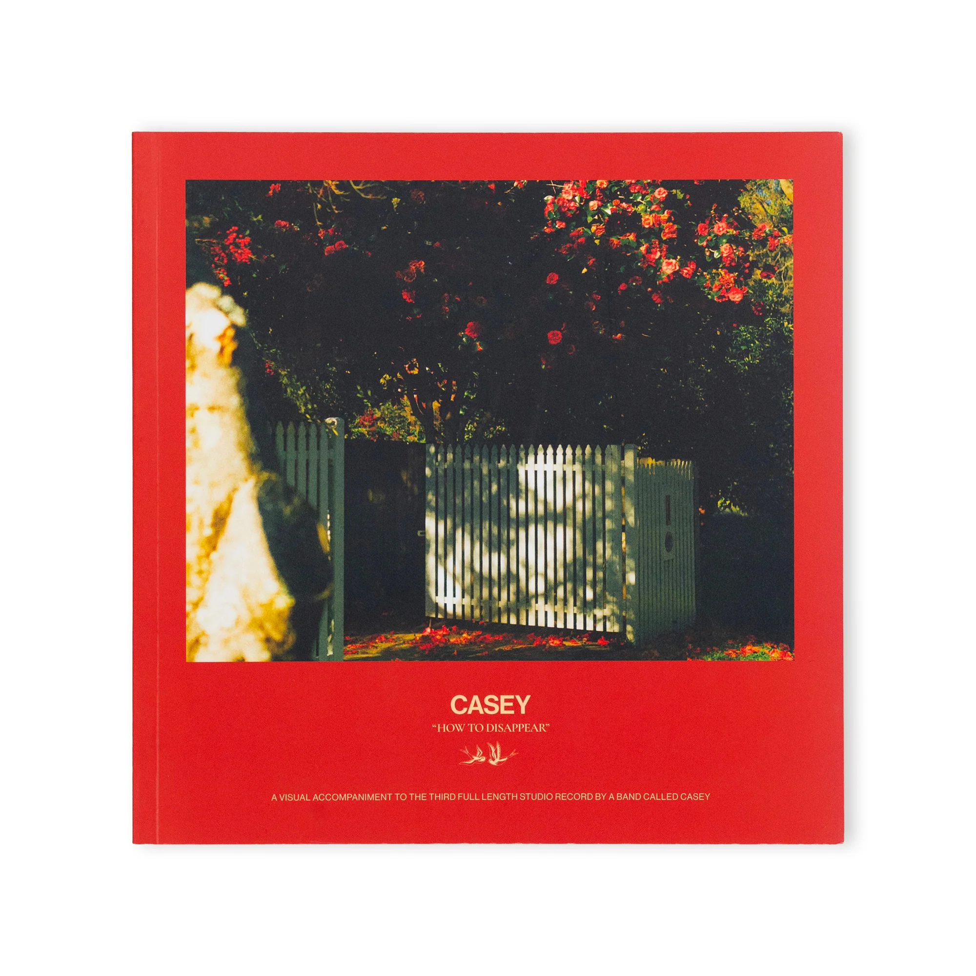 CASEY "How To Disappear (Alternate Cover) + Booklet" LP - Image 2