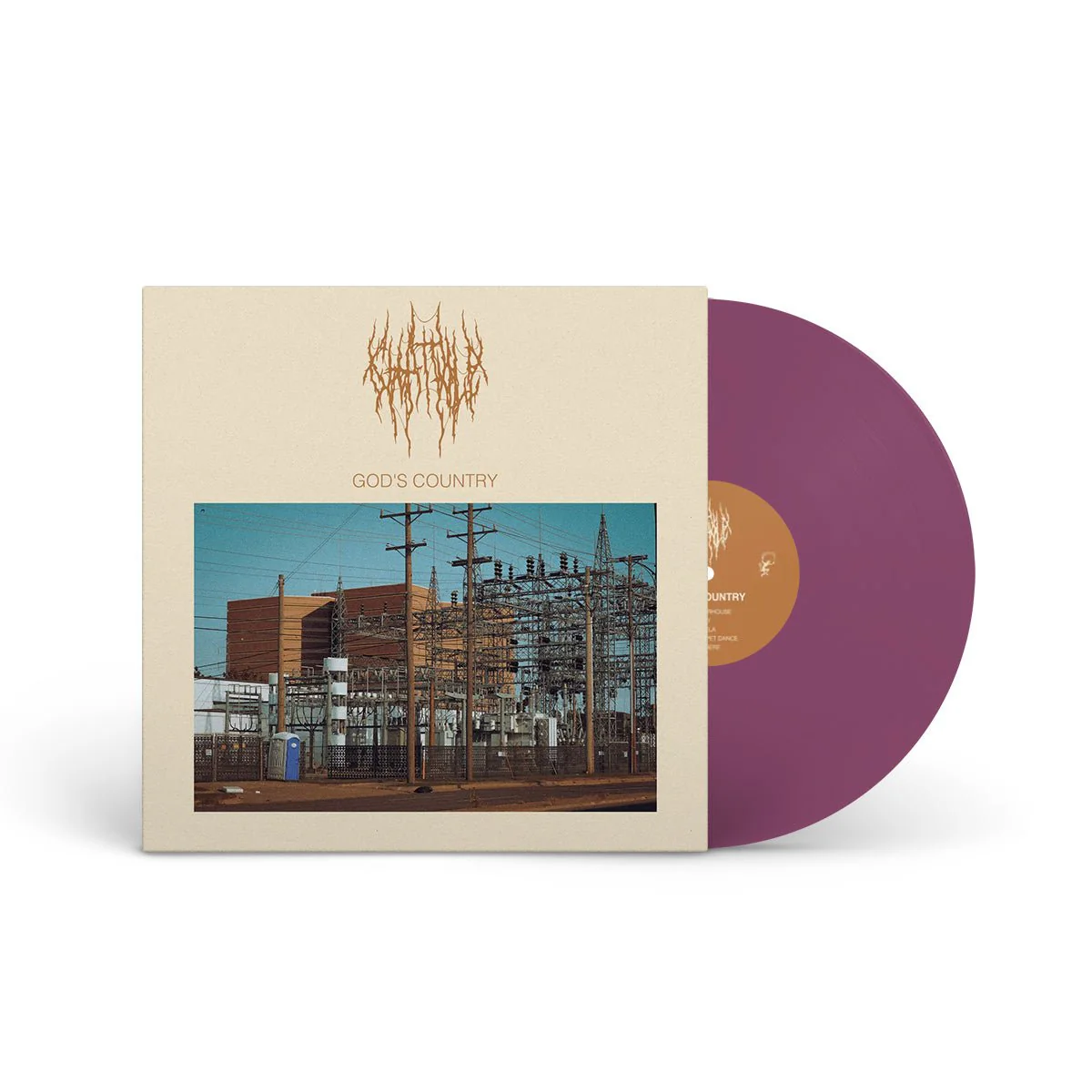 CHAT PILE "God's Country" LP - Image 6