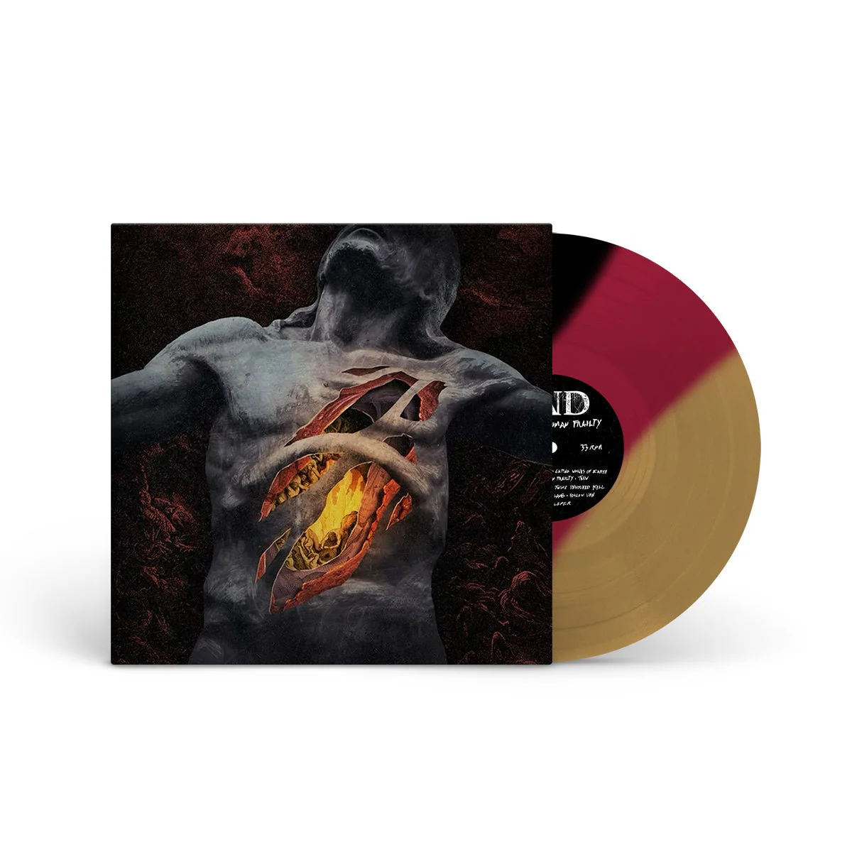 END "The Sin Of Human Frailty" LP - Image 3