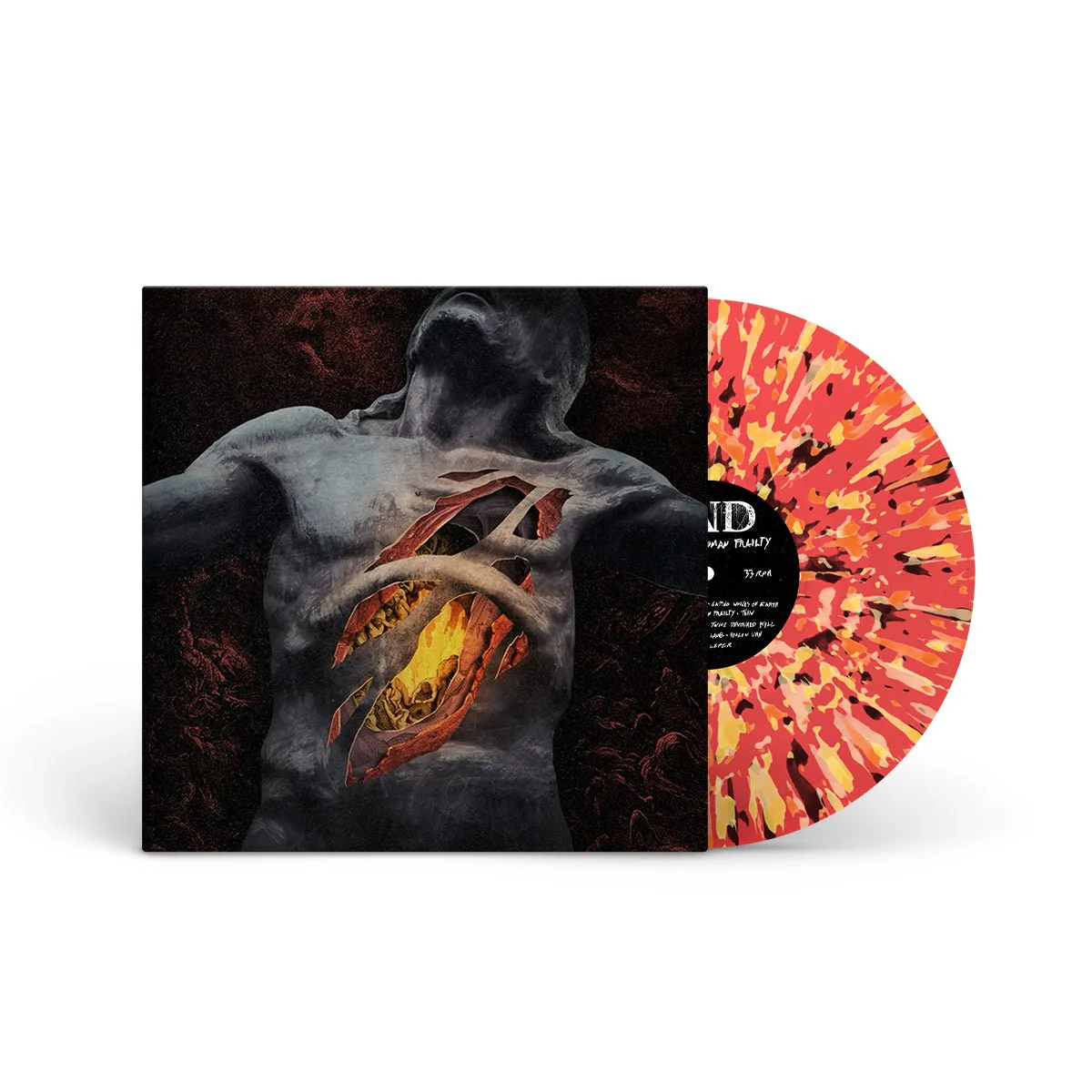 END "The Sin Of Human Frailty" LP - Image 5
