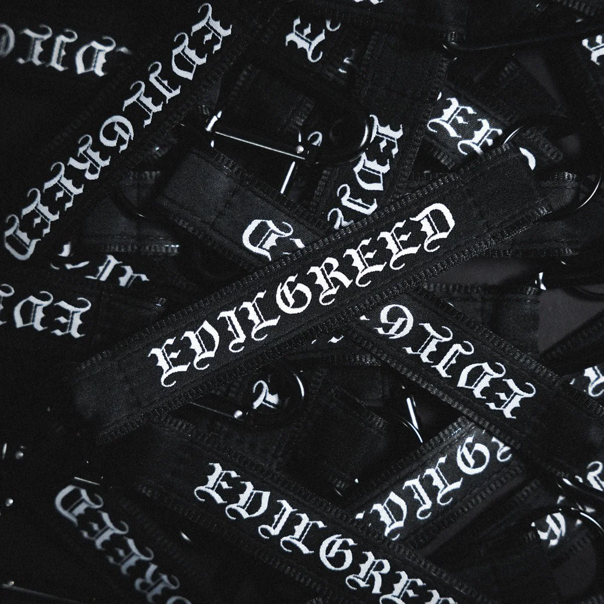 EVIL GREED "Logo" Lanyard - Image 3