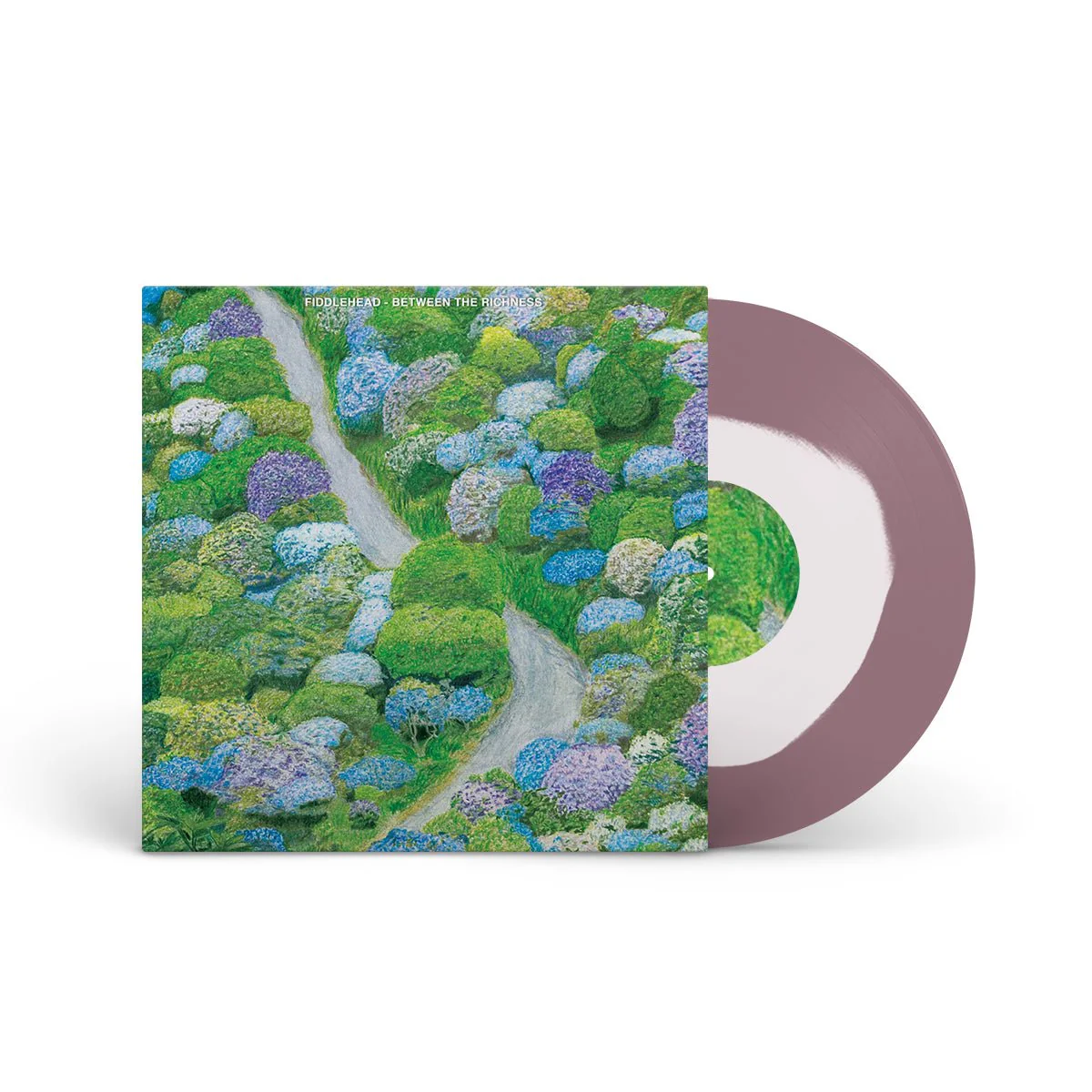 FIDDLEHEAD "Between The Richness" LP - Image 2