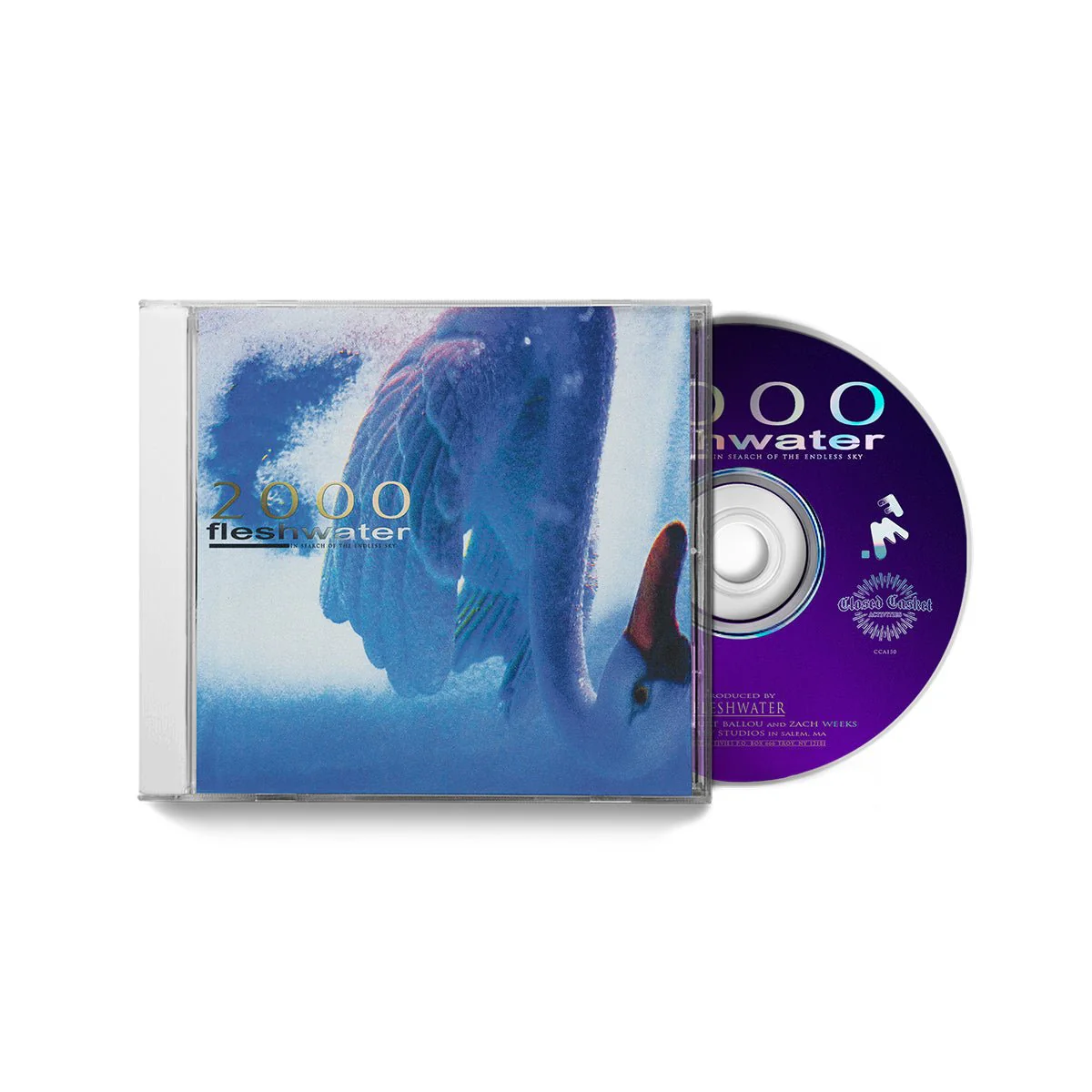 FLESHWATER "2000: In Search Of The Endless Sky" CD - Image 2