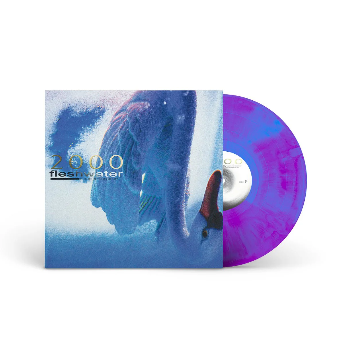 FLESHWATER "2000: In Search Of The Endless Sky" LP - Image 3