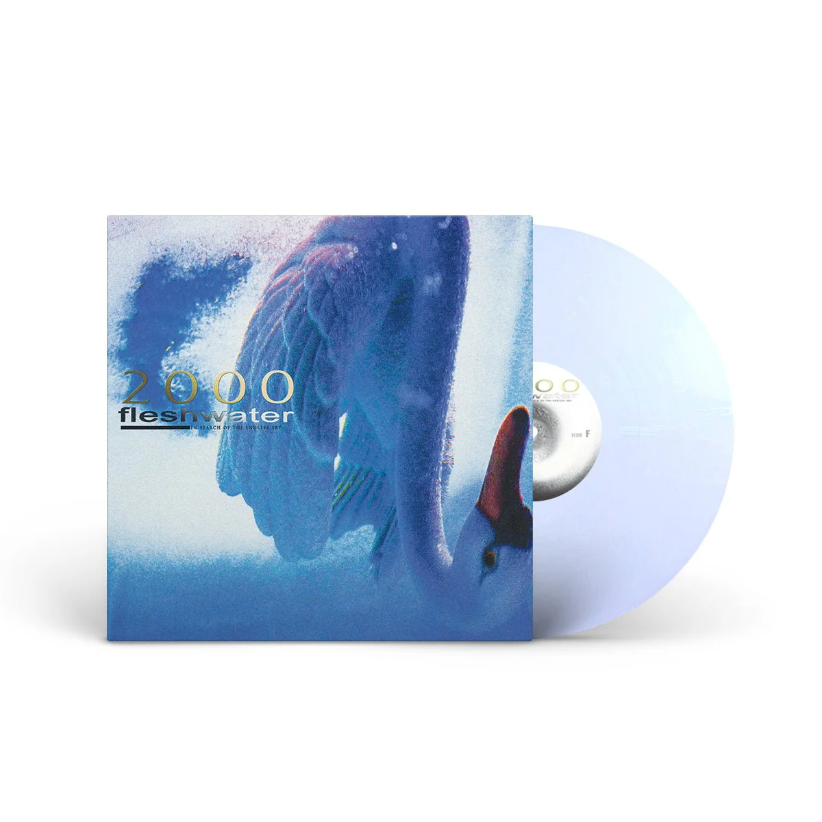 FLESHWATER "2000: In Search Of The Endless Sky" LP - Image 5