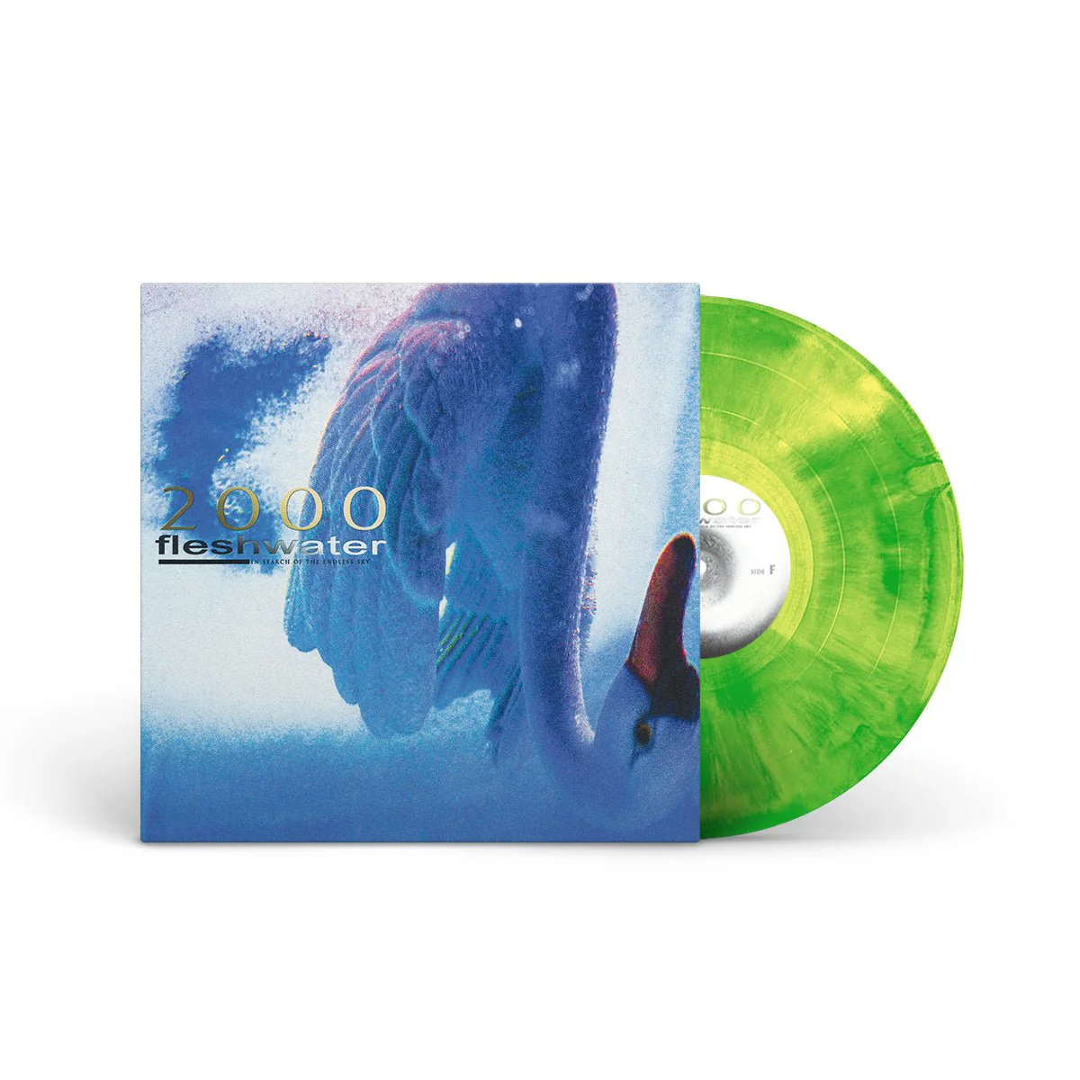 FLESHWATER "2000: In Search Of The Endless Sky" LP - Image 6