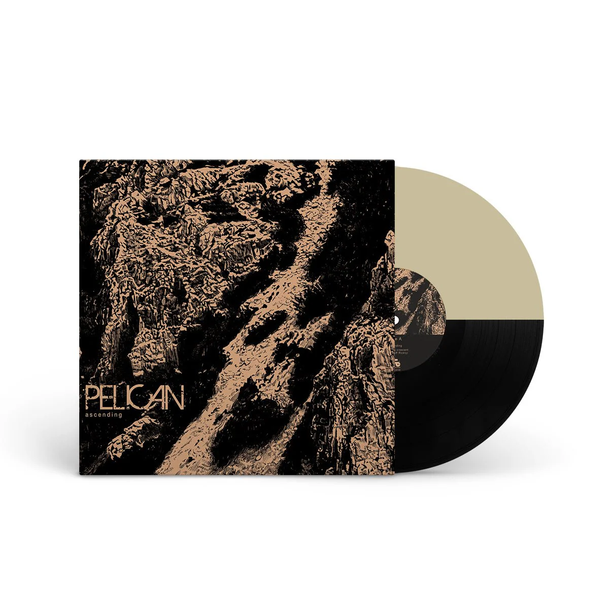 PELICAN "Ascending" 12" - Image 3