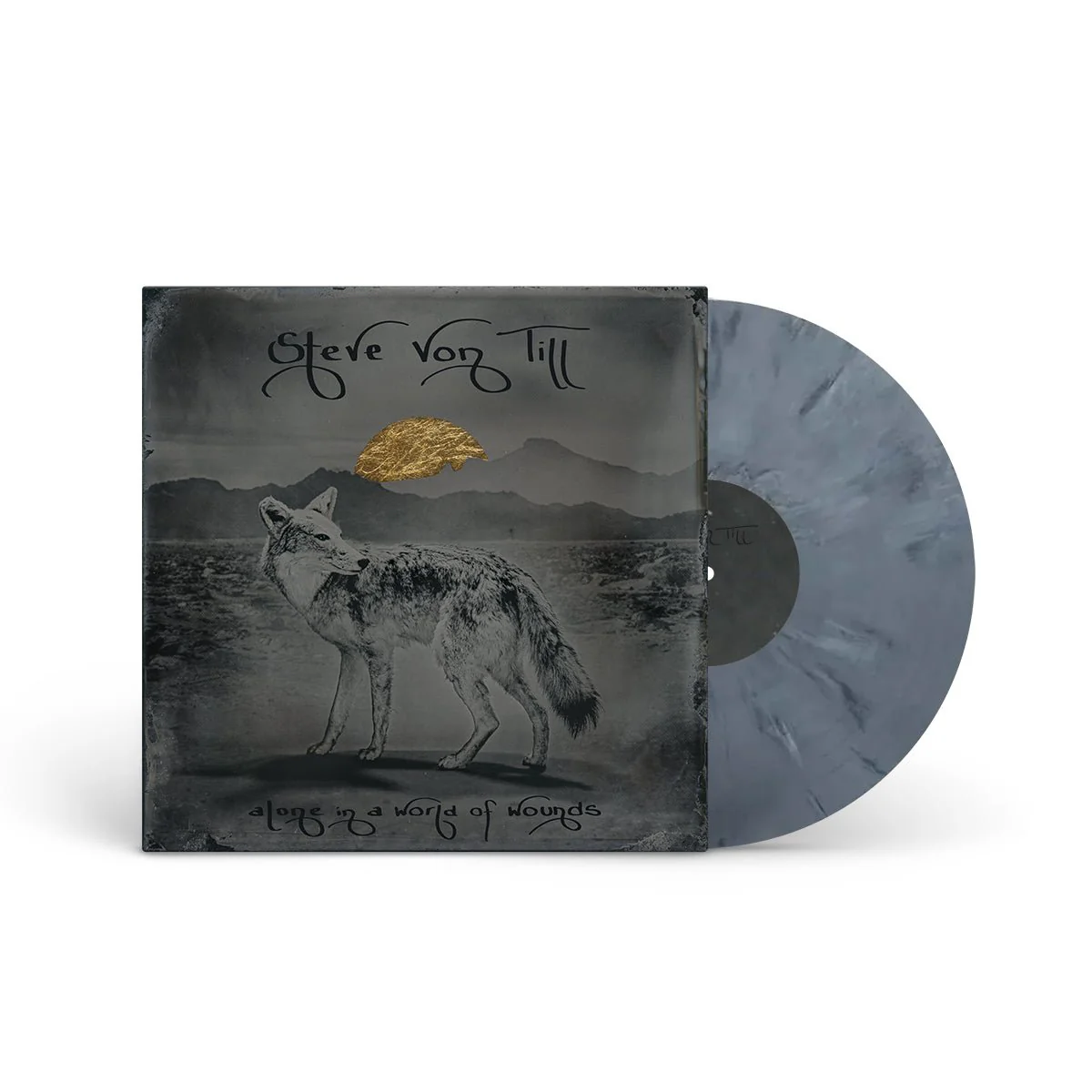 STEVE VON TILL "Alone In A World Of Wounds" LP - Image 2